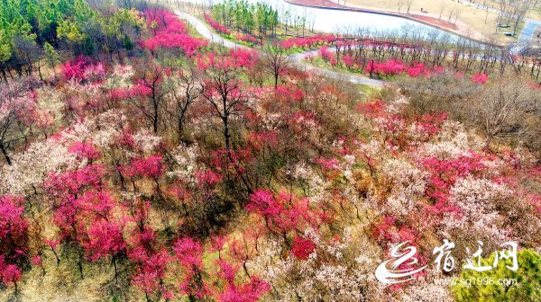 ��÷�������w����(b��o)�������(646195)-20200306154355