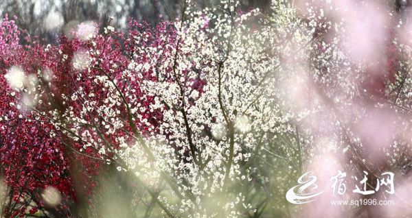 c6e1055c967d8f248cbabed515940c80a31266ef