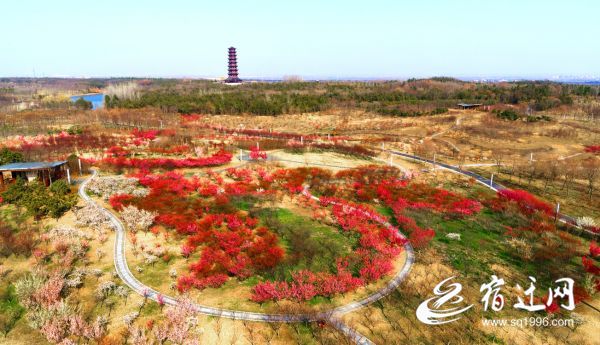 ��÷�������w����(b��o)�������(646196)-20200306154403