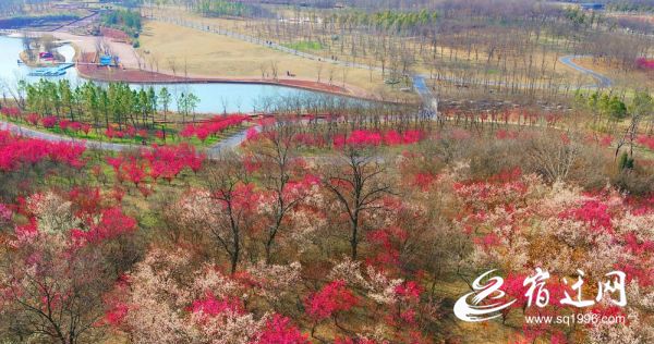 6ff9c158658e4a8ff151af5062ea508a71ae273c