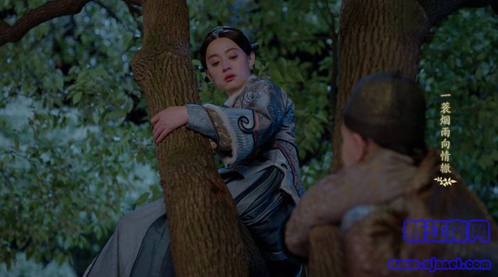 ���껨�_�����A����