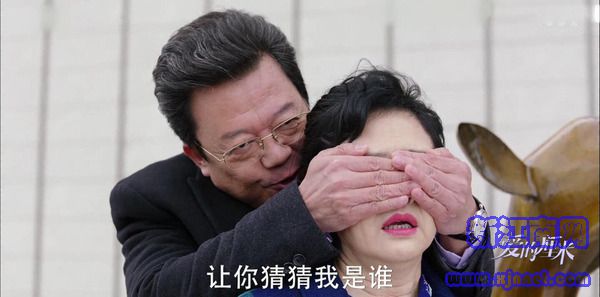 �۵����׵�41������