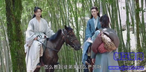 ɽ�����17������