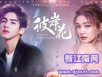 �˰��� ������