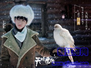 ������C �Y����