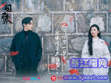 ˾�� ����